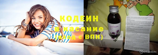 молекула духа Белоозёрский