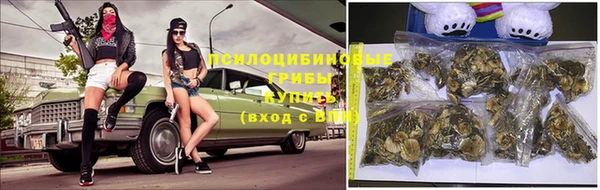 молекула духа Белоозёрский
