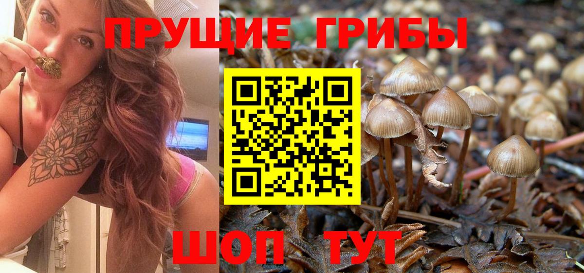 Саяногорск  купить  сайты  Псилоцибиновые грибы Psilocybine cubensis  Вход с VPN  Псилоцибиновые грибы Cubensis 